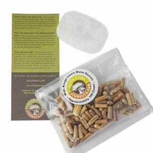 100 count lions mane mushroom spawn and wax combo kit