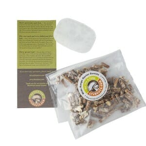 100 count oyster mushroom spawn and wax combo kit