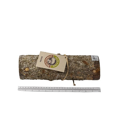 12in shiitake mushroom log measured