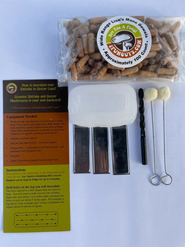 Picture of all items that come in Lion's Mane Plug Spawn Starter Kit - dowels, wax, aluminum tags, drill bit, daubers and instruction sheet
