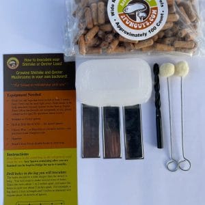 Picture of all items that come in Lion's Mane Plug Spawn Starter Kit - dowels, wax, aluminum tags, drill bit, daubers and instruction sheet