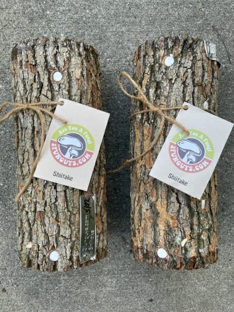 Father's Day Gift Package - (2) Shiitake Mushroom Logs