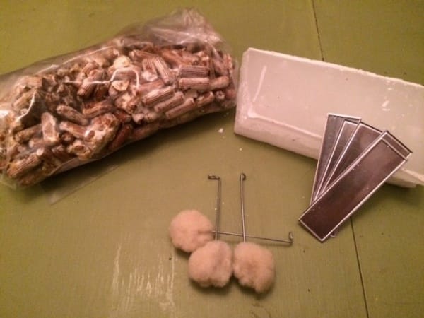 mushrooms spawn kit